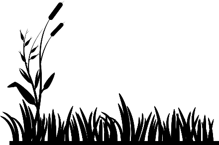 Tappeto erboso